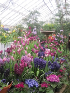 Smith College Bulb Show 009